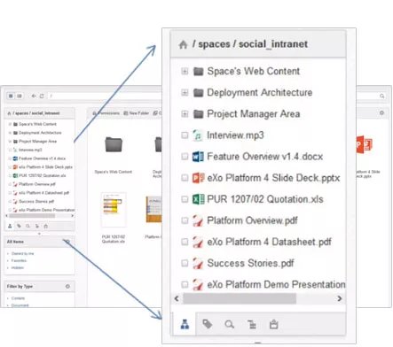 Document Management Software (DMS)