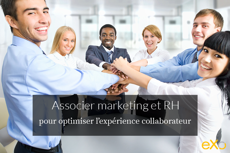 expérience collaborateur